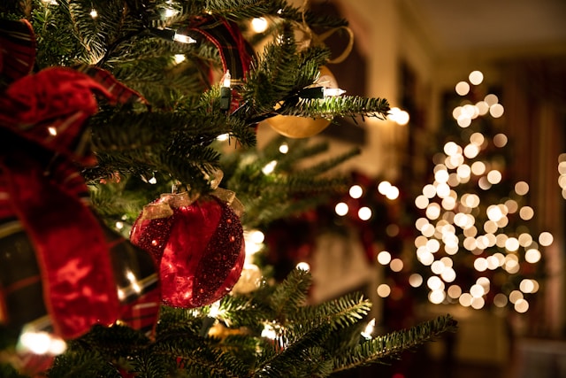 vánoční stromeček